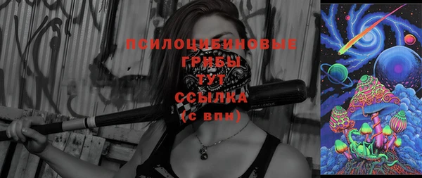 дурь Сатка