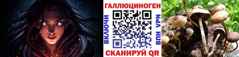ссылка на мегу онион  Котельнич  Псилоцибиновые грибы ЛСД 